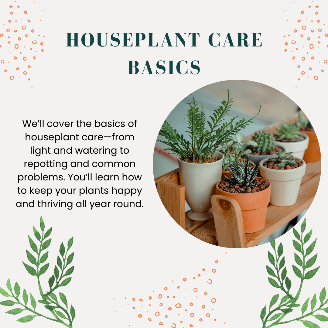 Houseplant Care Basics - Jan 29