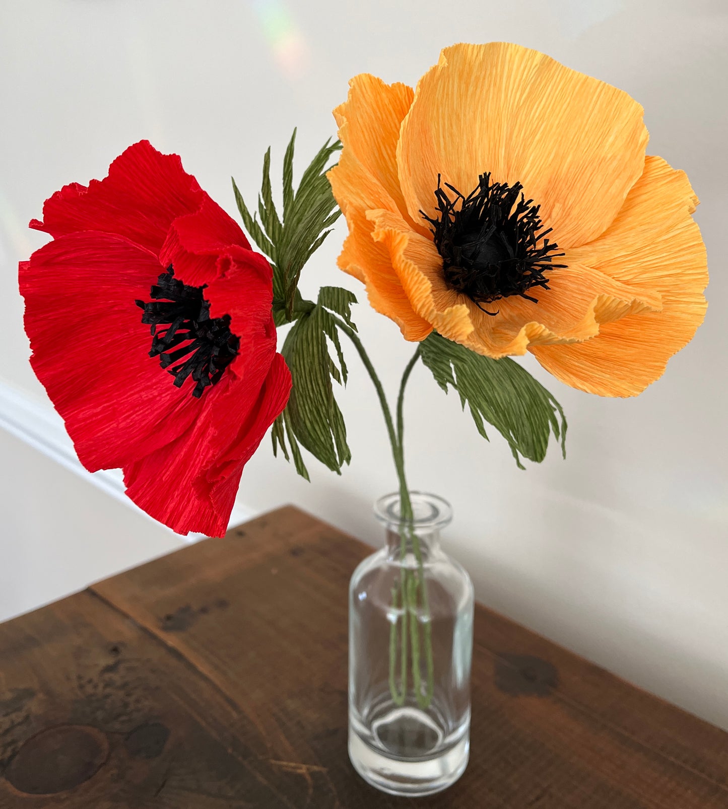 Create Beautiful Paper Poppies! - Jan 13