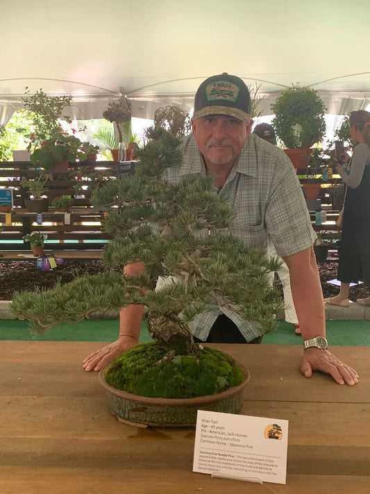 Introduction to Bonsai - Oct 25