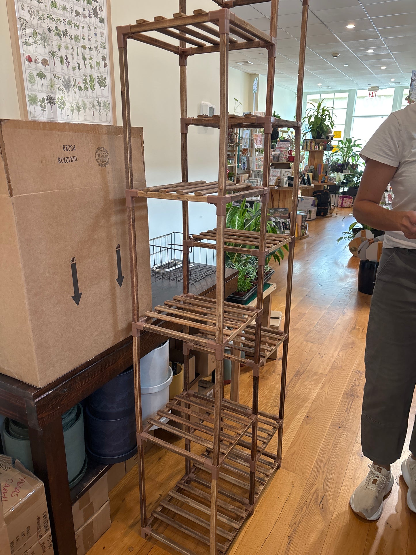 Big Plant Stand