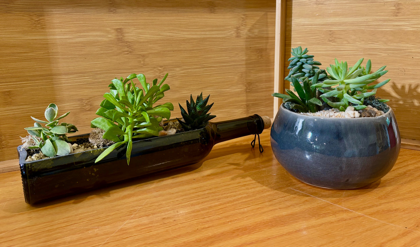 End of Summer Sip & Succulents
