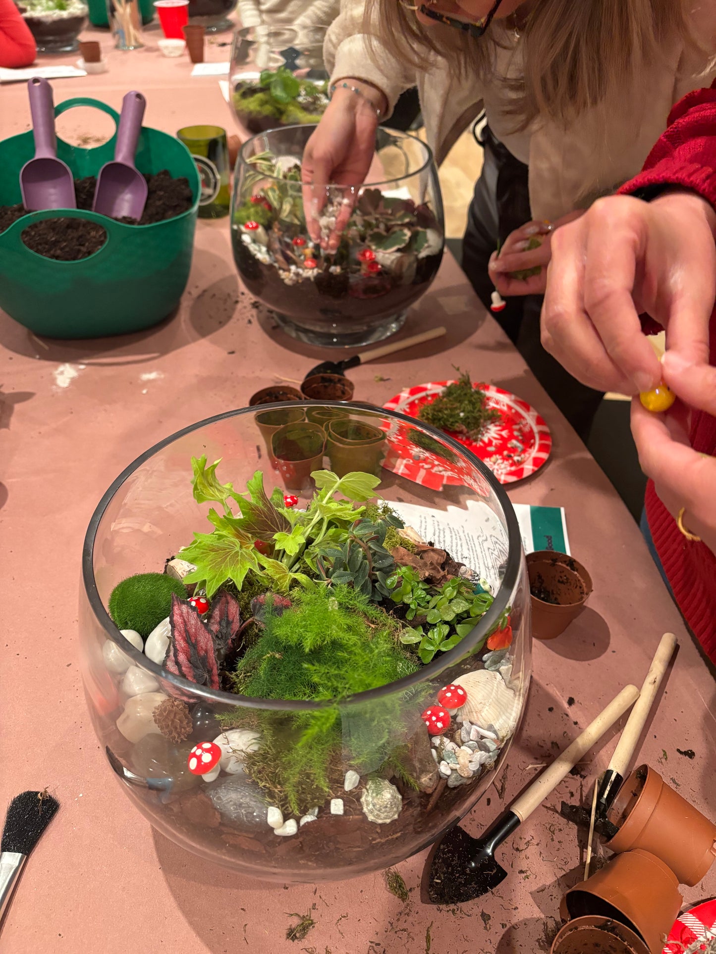 Build Your Own Terrarium Workshop - April 23