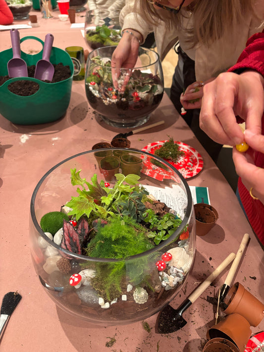 Build Your Own Terrarium Workshop - April 23